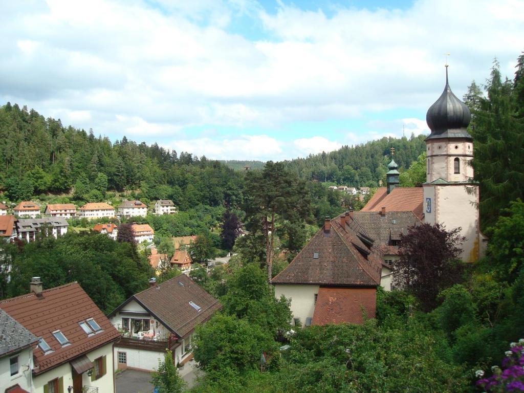 Self-Check-In Ferienwohnungen & Apartments Am Bergsee Triberg im Schwarzwald Стая снимка